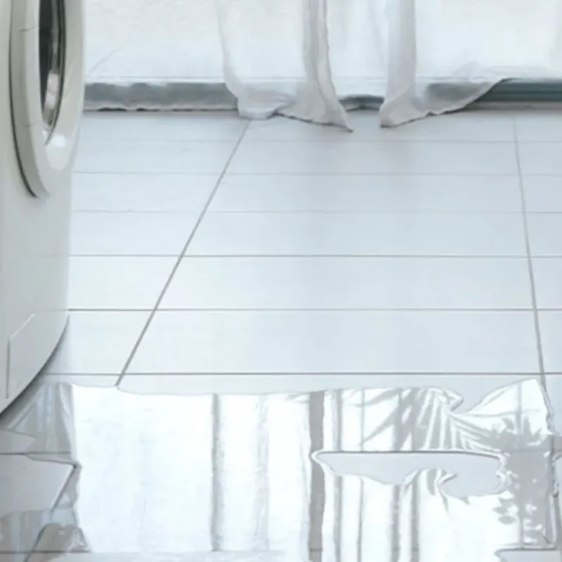 Appliance Leak Cleanup in Rocky Point, WA