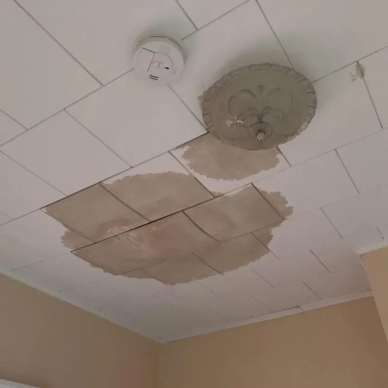 Ceiling Water Damage Repair in Rocky Point, WA